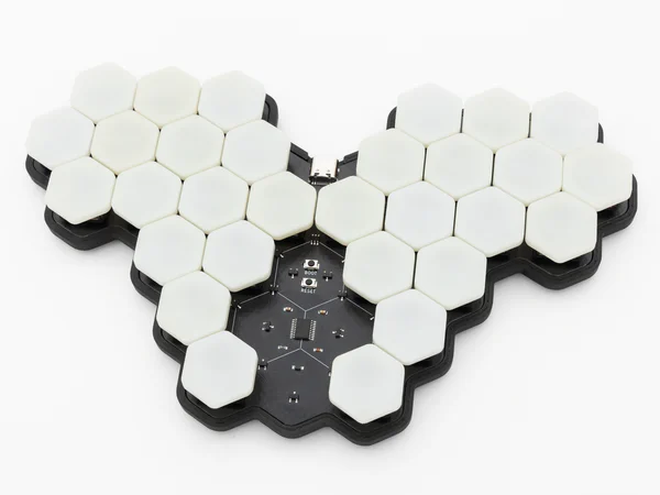 Hexapoda
